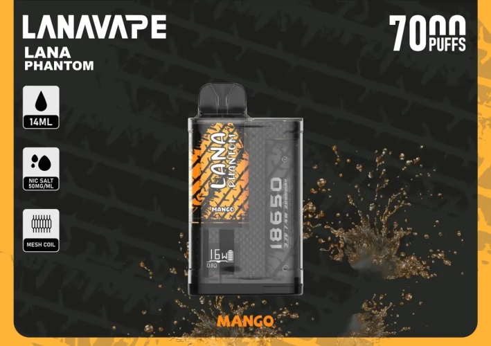 4_500.jpg